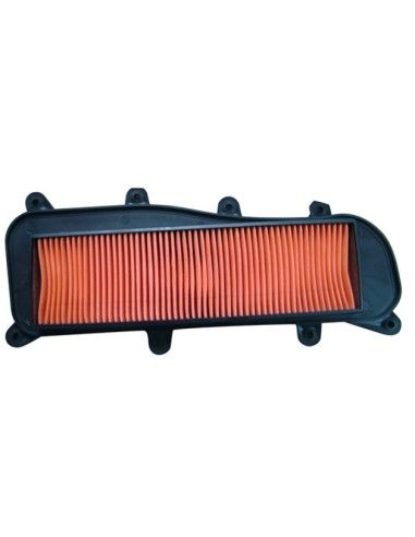 Filtro Aria Kymco People GTI 125 200 300 People S 300 dal 2019 RMS - 100602671