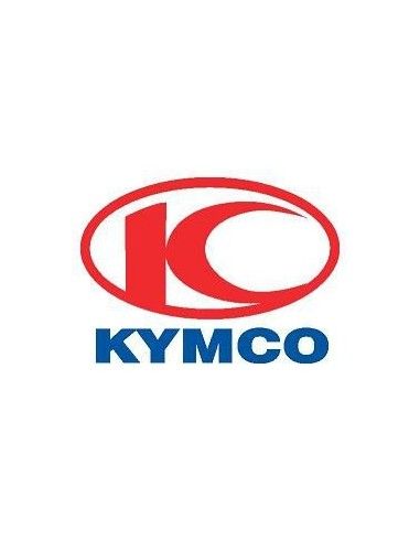 KYMCO SCOOTER MOTOR OIL CAP CAP INVOEREN VAN DE MOTOROLIE MET VEILING GRADUATED - 00124743