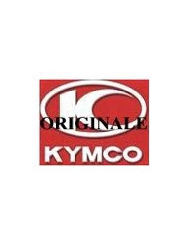 Steuergerät Kymco People S 125 150 kontrolle von beleuchtung - 00151095