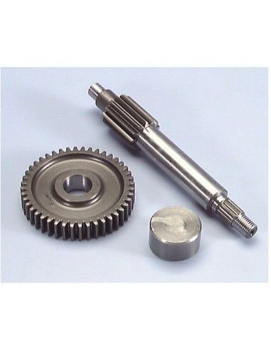 Gears Elongated Ratio Primary Scooter 50 Minarelli Yamaha Engine Teeth 13 - 44 POLINI SPECIAL PARTS - 202.1370