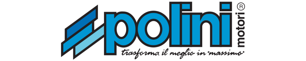Polini Motori, αξεσουάρ και επεξεργασίες για το scooetr
